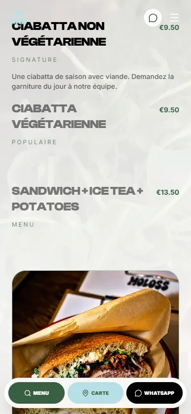 Vue mobile : menu et accès rapides MOLOSS
