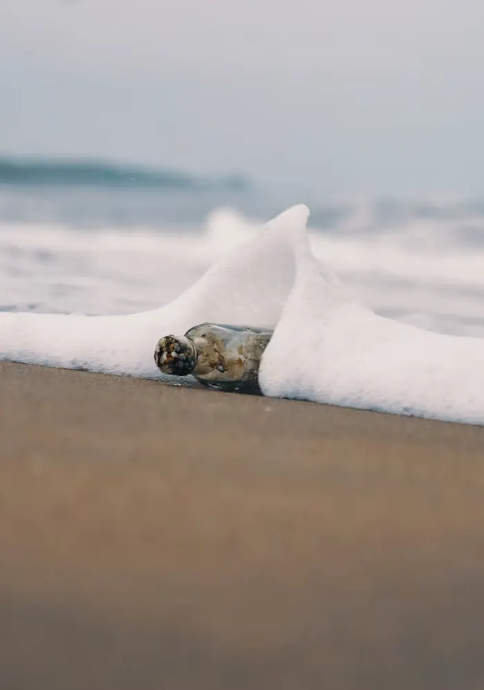 Small dark form against a pale shore