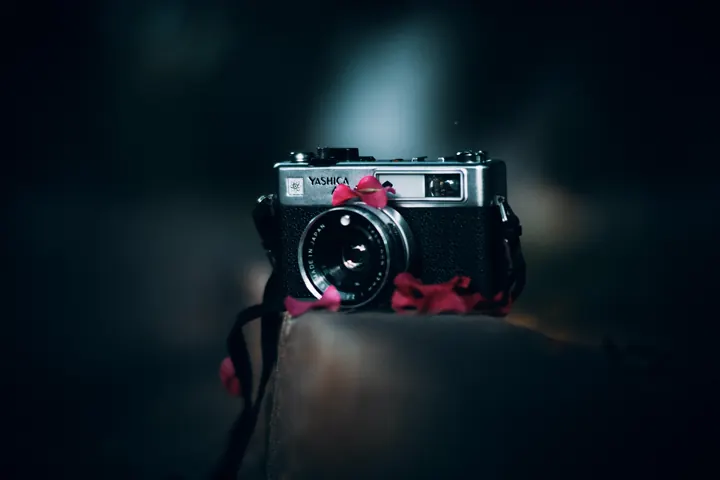 Photographie issue des archives de The Picture Network